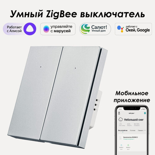 Изображение товара Умный Zigbee выключатель ROXIMO, двухкнопочный, платиновый, SZBTN01-2P