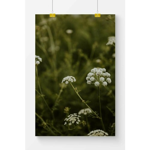 Постер для интерьера Postermarkt, 40х50 см в черной рамке, декор на стену Растение #29