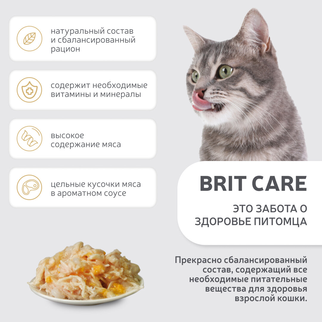 Влажный корм Brit Care для взрослых кошек, куриная грудка/сыр, 80г - фото №14