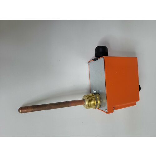 CAEM Терморегулятор погружной предохранительный TU-RM LP5454 B T.F 110C F.S. для котлов, электрических радиаторов, печей.