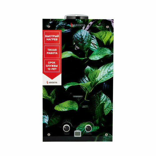 Водонагреватель проточный газовый Arideya JSD 20 G1 L Листья 1285800₽
