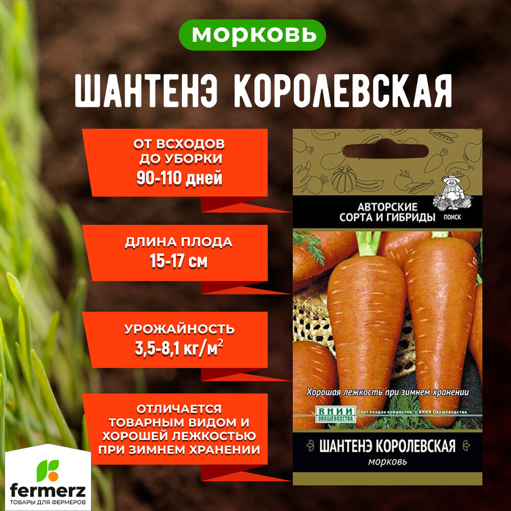 Семена Морковь Шантенэ Королевская 2гр.
