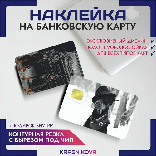 Наклейки на карту банковскую доберман эстетика наклейки на карту банковскую vaporwave эстетика