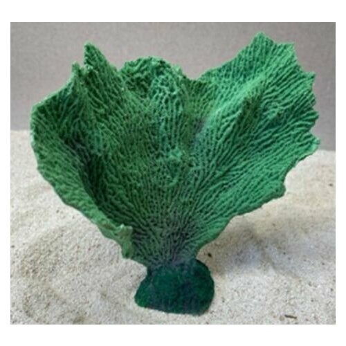 Grotaqua Цветной коралл зеленый Коралл веер, 17*7*15 см