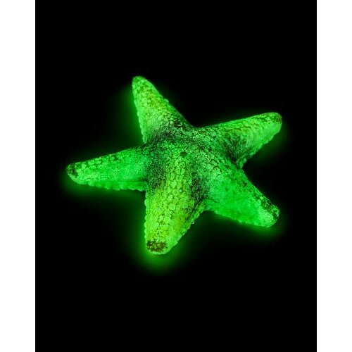 Grotaqua Кс-2147 Звезда средняя (зелёный), 9*9*2 см