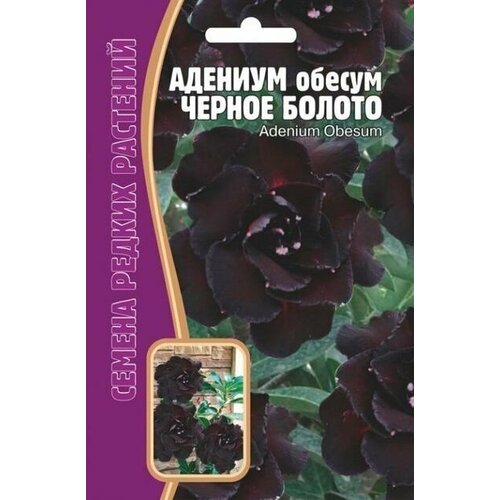 Адениум Черное Болото 3 шт * 3упаковки редкие семена редкие растения адениум черное болото 3 семян в упаковке