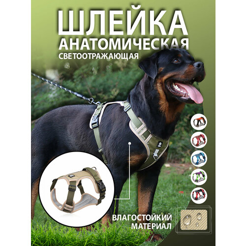 Шлейка для собак хаки L