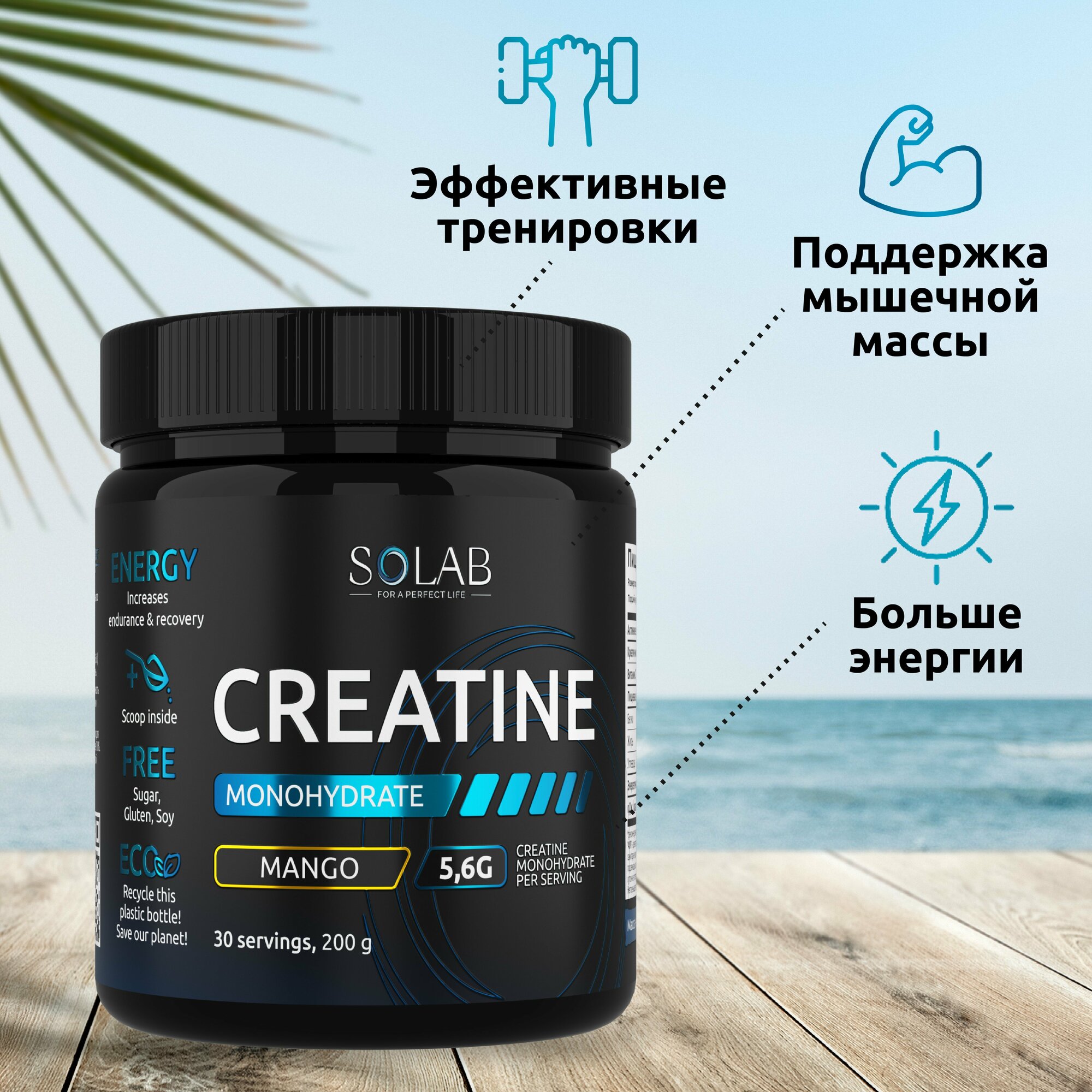 SOLAB Креатин моногидрат порошок 30 порций, Creatine Monohydrate, вкус манго, 200 гр спортивное питание