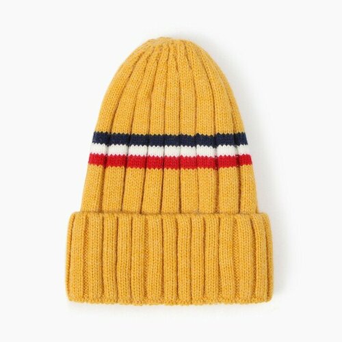 Шапка детская А50101 цвет горчичный р 52-54 1557₽
