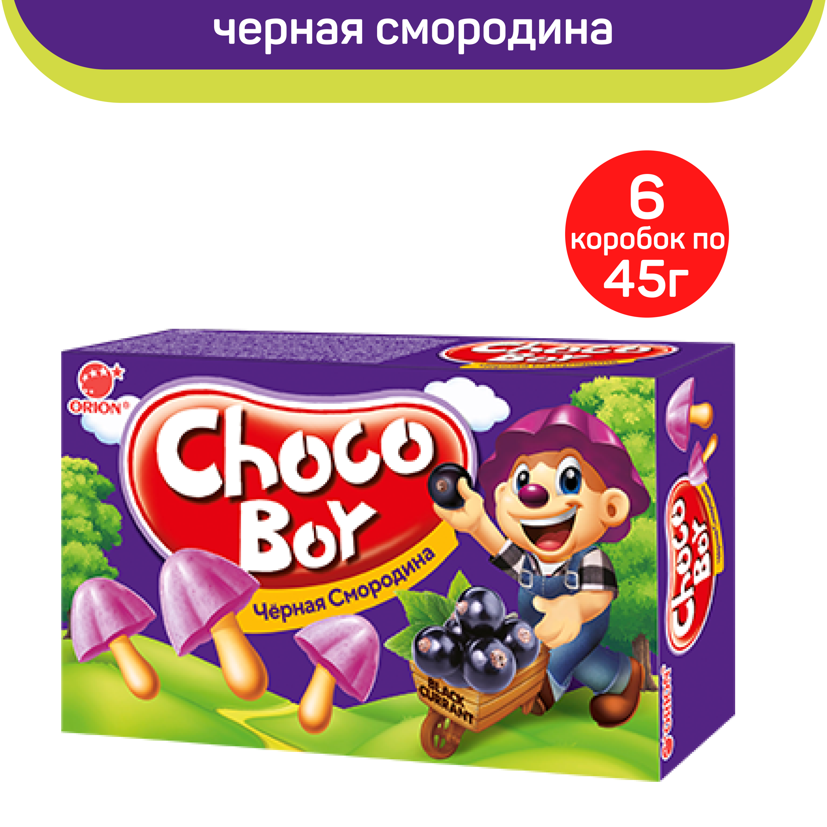 Печенье Orion Choco Boy Чёрная смородина, 6 шт по 45 г