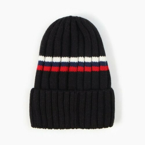 Шапка детская А50101 цвет чёрный р 52-54 1038₽