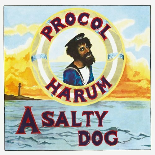Виниловые пластинки, MUSIC ON VINYL, PROCOL HARUM - A Salty Dog /Remast- (LP) петух a hg068 trek gary fisher klein schwinn и др