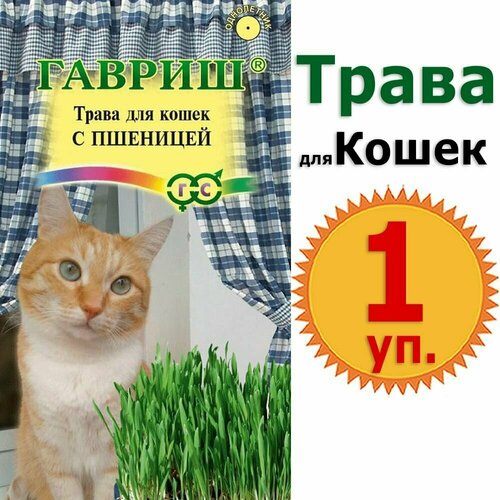 Семена, трава для кошек с пшеницей 10гр витамины, лакомство, добавка в корм, вкусняшки Гавриш