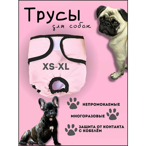 Трусы для собакXL подгузники для животных trixie lux 3 трусы гигиенические для собак 1 шт
