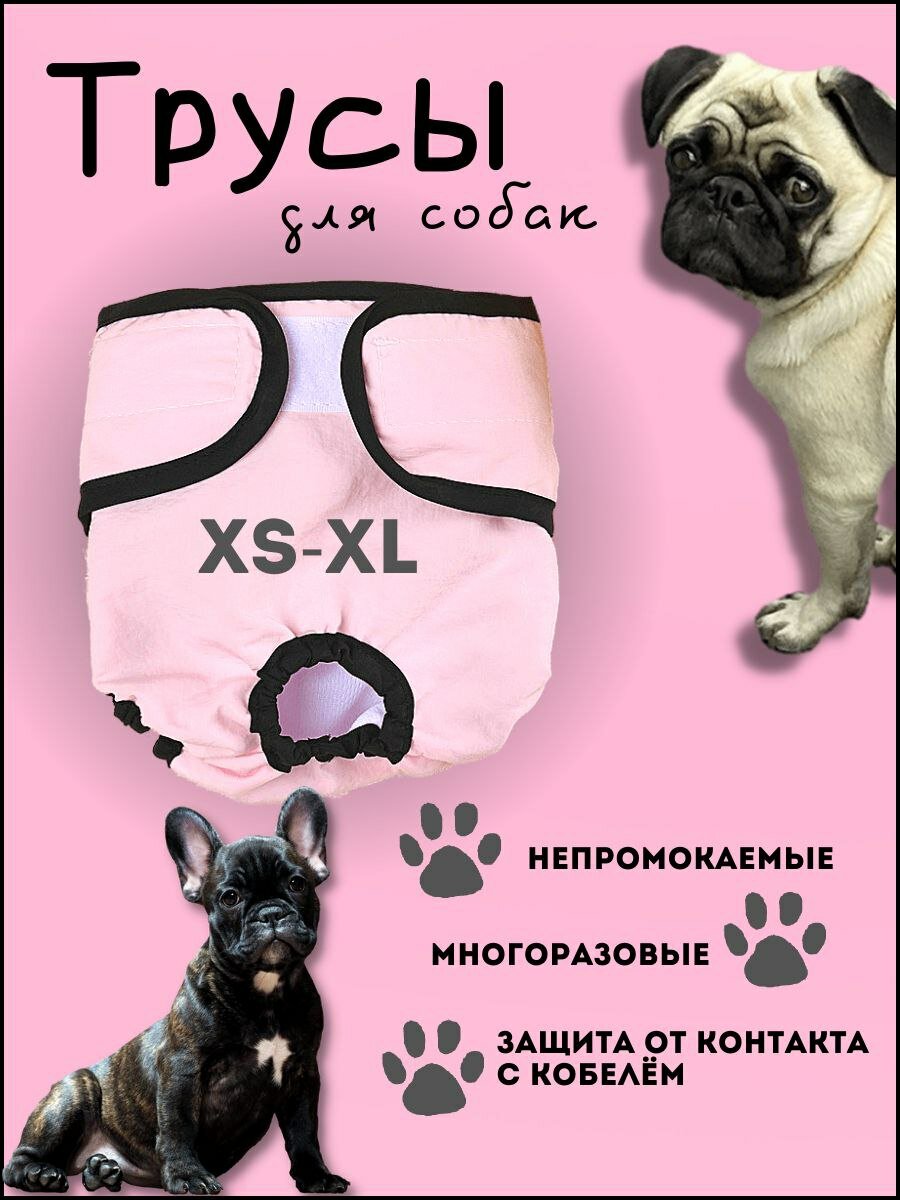 Трусы для собак XS