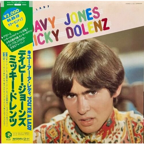 Davy Jones, Micky Dolenz - You're a Lady NM NM/ Винтажная виниловая пластинка