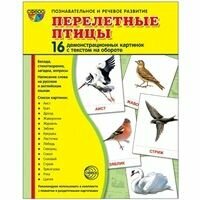 Перелетные птицы. 16 демонстративных карточек с текстом на обороте - фото №4