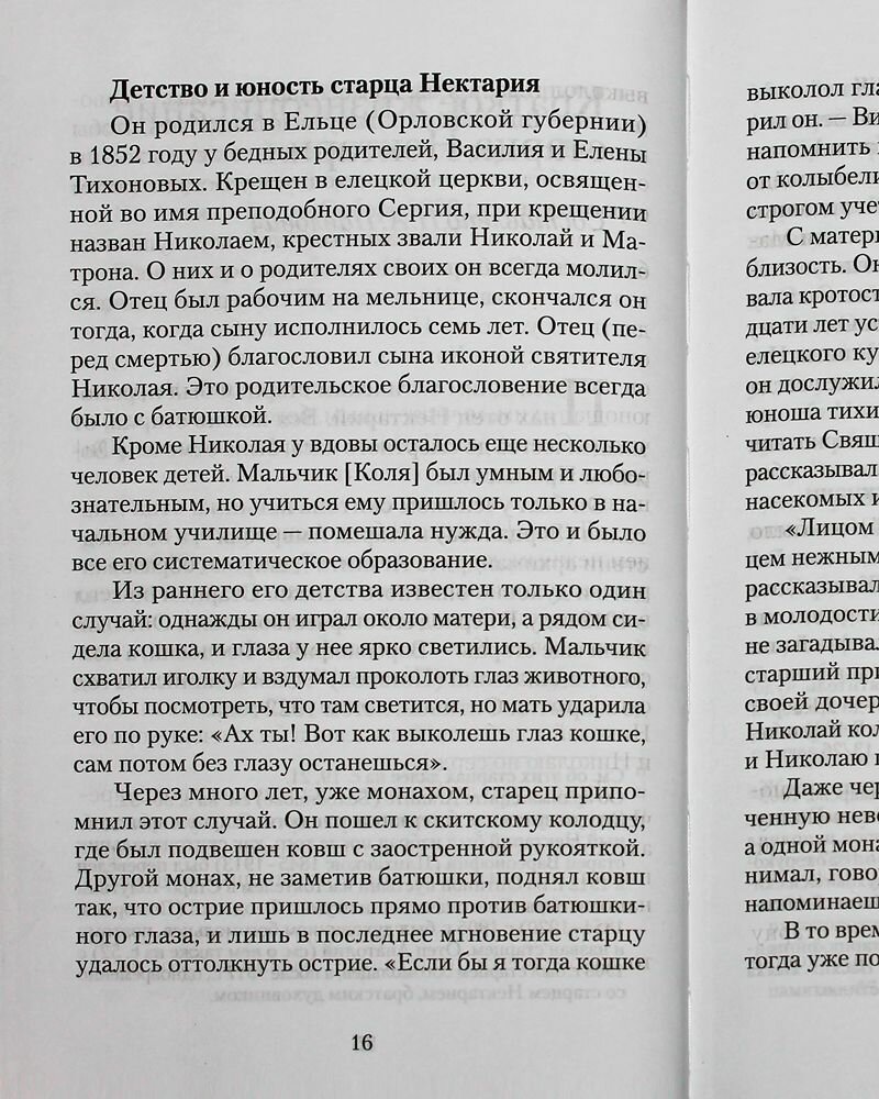 Великая брань старца Нектария. Воспоминания Н. А. Павлович о преподобном Нектарии Оптинском - фото №10