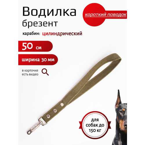Водилка для собак с цилиндрическим карабином брезент 50 см х 30 мм (зеленый)