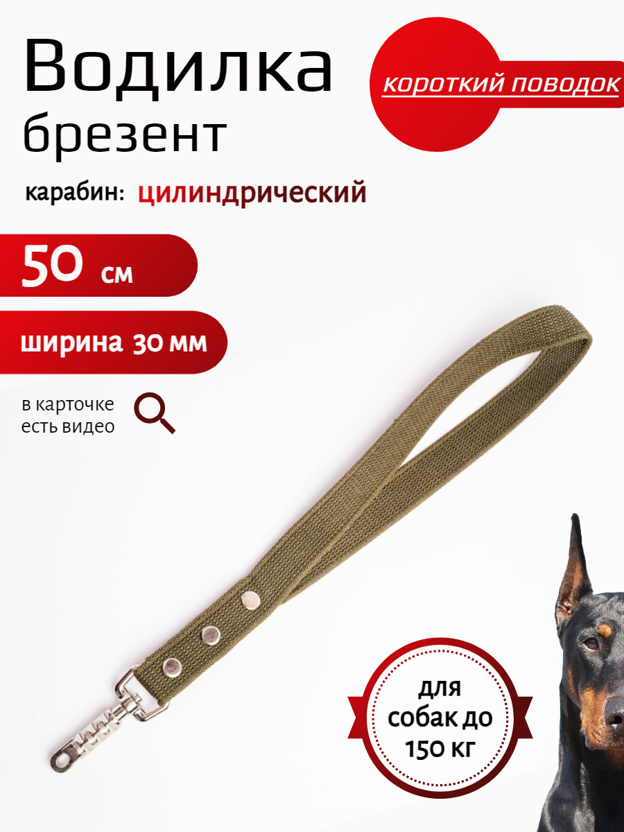 Водилка для собак с цилиндрическим карабином брезент 50 см х 30 мм (зеленый)