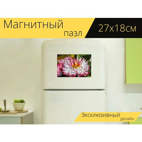Магнитный пазл Маргаритка, помпонет красный, красная маргаритка на холодильник 27 x 18 см. магнитный пазл маргаритка спасибо романтичный на холодильник 27 x 18 см