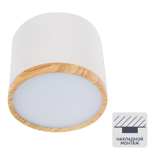 Светильник накладной светодиодный SPOT07-CLL10W, 10 Вт