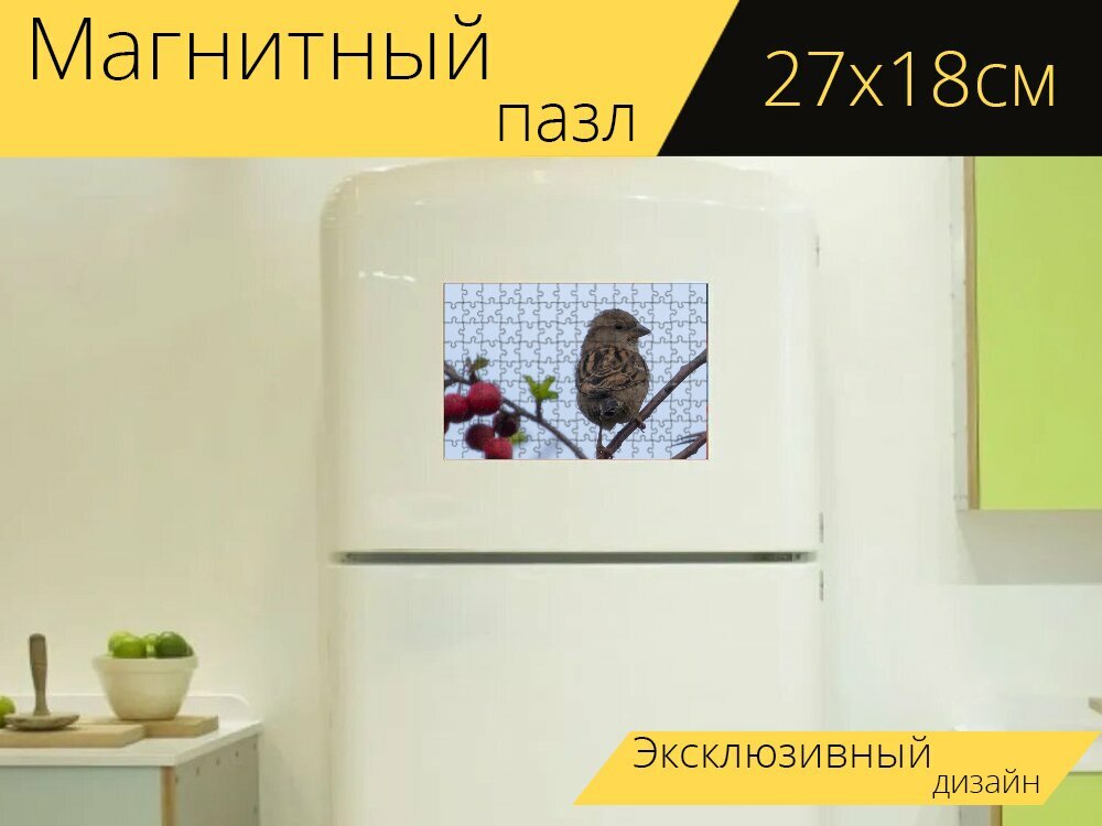 Магнитный пазл "Воробей, живой воробей, садовая птица" на холодильник 27 x 18 см.