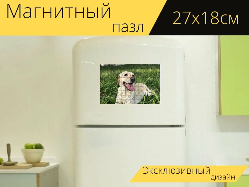 Магнитный пазл "Лужайка, собака, милый" на холодильник 27 x 18 см.