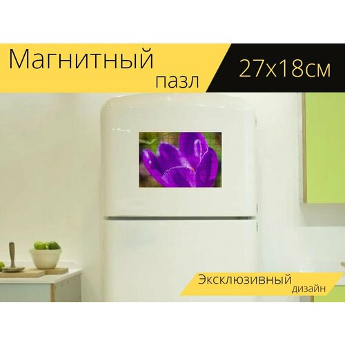 Магнитный пазл Крокус, фиолетовый, цвести на холодильник 27 x 18 см. магнитный пазл крокус фиолетовый цвести на холодильник 27 x 18 см