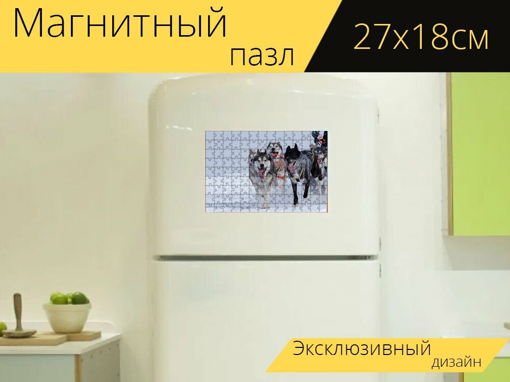 Магнитный пазл "Ездовые собаки, собачьи гонки на собачьих упряжках, сани гонки" на холодильник 27 x 18 см.