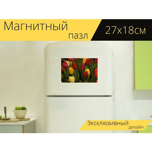 Магнитный пазл Тюльпаны, цветы, бутоны на холодильник 27 x 18 см.