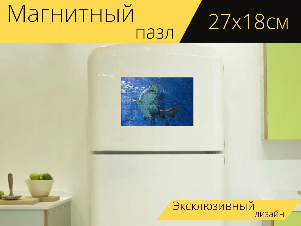 Магнитный пазл "Акула, море, океан" на холодильник 27 x 18 см.