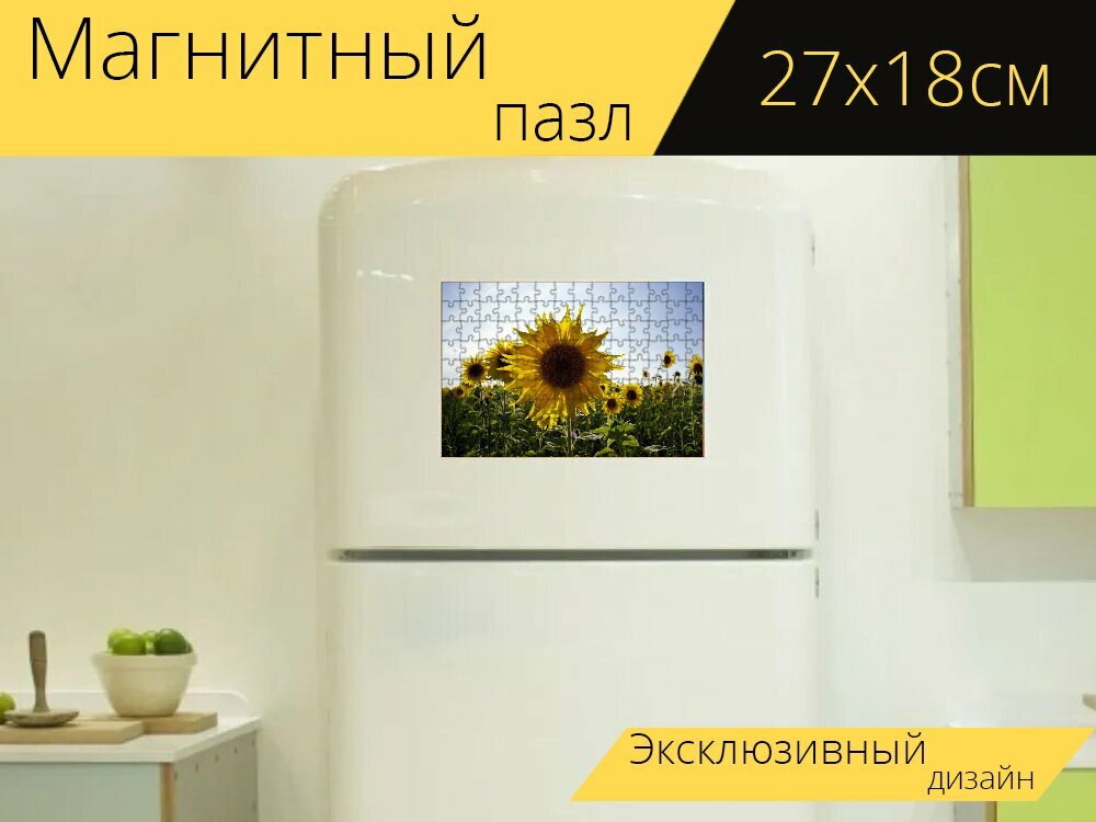 Магнитный пазл "Подсолнухи, поля, пейзаж" на холодильник 27 x 18 см.