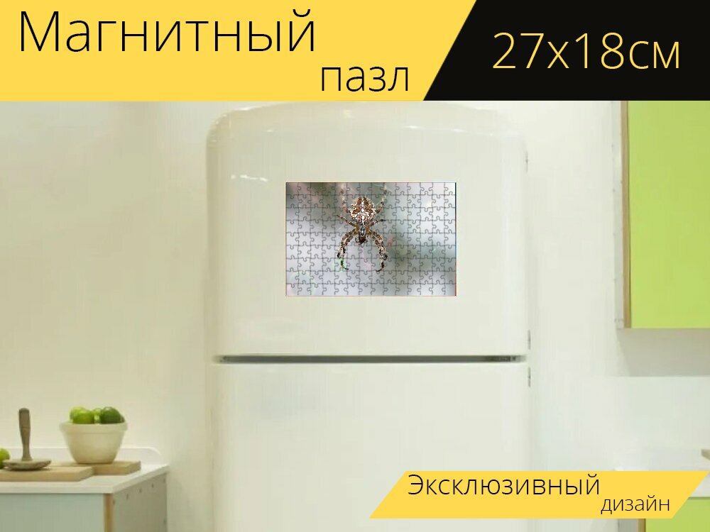 Магнитный пазл "Паук, паутина, животное" на холодильник 27 x 18 см.
