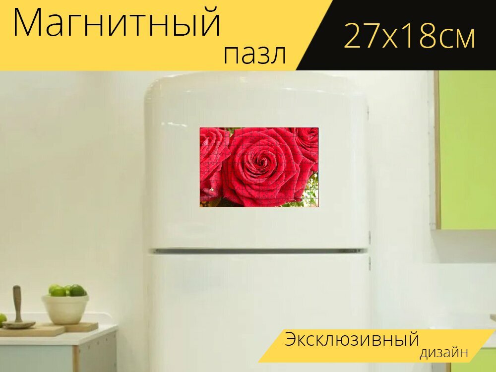 Магнитный пазл "Красные розы, баккара, цветок любви" на холодильник 27 x 18 см.