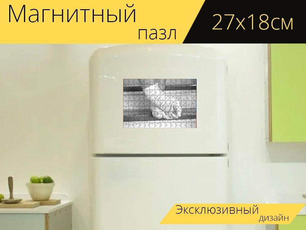 Магнитный пазл "Лестница, ноги, стоять" на холодильник 27 x 18 см.