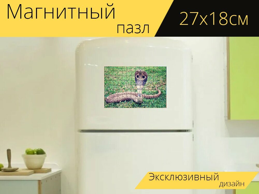 Магнитный пазл "Королевская кобра, кобра, змея" на холодильник 27 x 18 см.