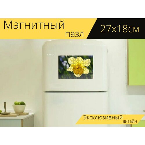 Магнитный пазл Нарцисс, пасхальный колокол, весенний цветок на холодильник 27 x 18 см.