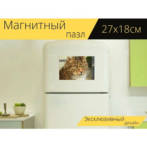 Магнитный пазл Кот, кошачьи глаза, домашняя кошка на холодильник 27 x 18 см. магнитный пазл кошка рыжий кот кошачьи глаза на холодильник 27 x 18 см