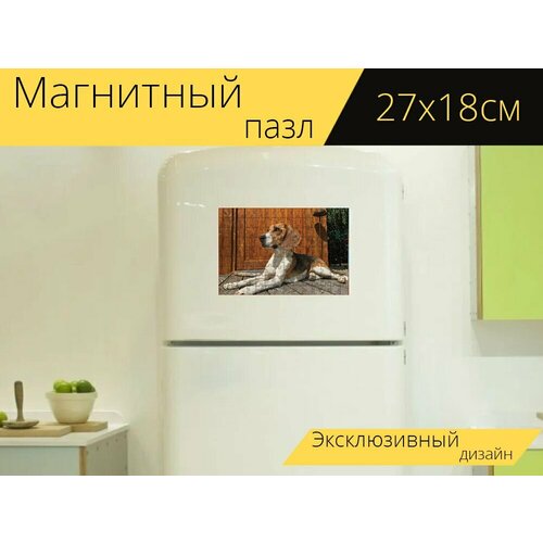 Магнитный пазл Гончая, собака, охотничья собака на холодильник 27 x 18 см.