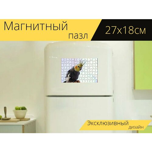 Магнитный пазл Корелла, птица, животное на холодильник 27 x 18 см. магнитный пазл корелла птица гребень на холодильник 27 x 18 см