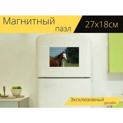 Магнитный пазл Лошадь, ферма, кобыла на холодильник 27 x 18 см.