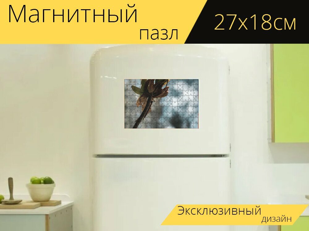Магнитный пазл "Заброшенный, аннотация, невзгоды" на холодильник 27 x 18 см.