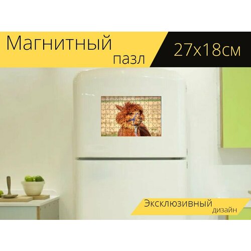 Магнитный пазл Альпака, шерсть, млекопитающее на холодильник 27 x 18 см. магнитный пазл альпака млекопитающее животное на холодильник 27 x 18 см