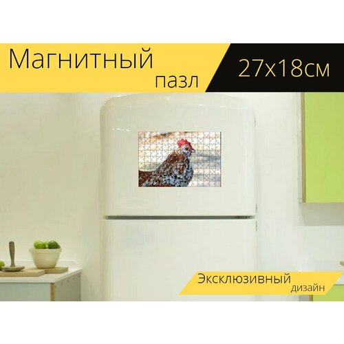 Магнитный пазл Петух, петушок, профиль на холодильник 27 x 18 см. магнитный пазл петух петушок птица на холодильник 27 x 18 см