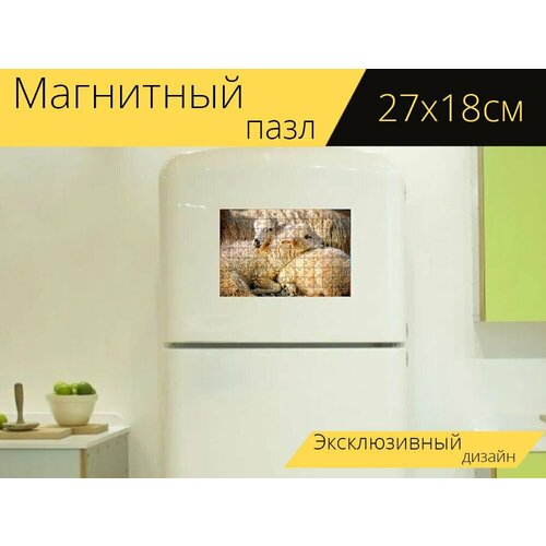 Магнитный пазл Овец, ягненок, животные на холодильник 27 x 18 см.