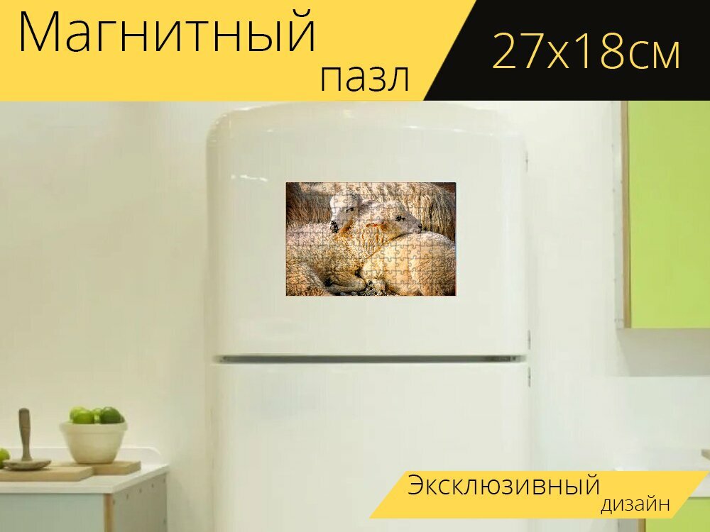 Магнитный пазл "Овец, ягненок, животные" на холодильник 27 x 18 см.