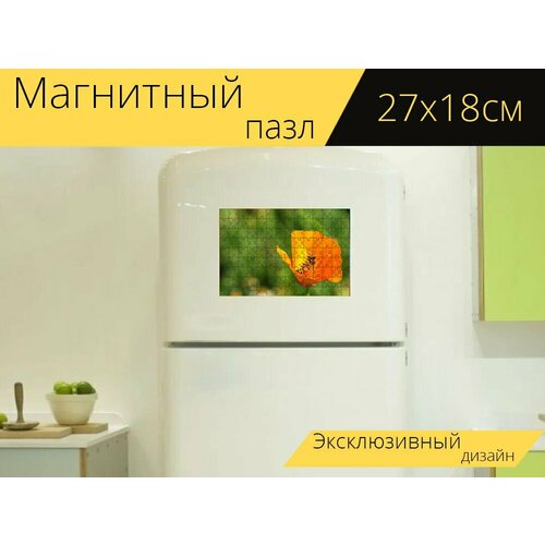 Магнитный пазл Пчела, насекомое, насекомые на холодильник 27 x 18 см. магнитный пазл пчела насекомое космея на холодильник 27 x 18 см