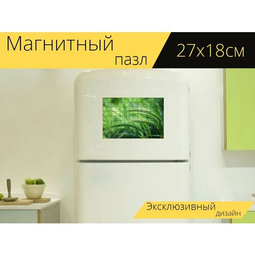 Магнитный пазл Ячмень лисохвост, завод, трава на холодильник 27 x 18 см. магнитный пазл ячмень лисохвост завод трава на холодильник 27 x 18 см