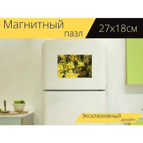 Магнитный пазл Мимоза, цветок, май на холодильник 27 x 18 см. магнитный пазл май ставрополь цветы на холодильник 27 x 18 см